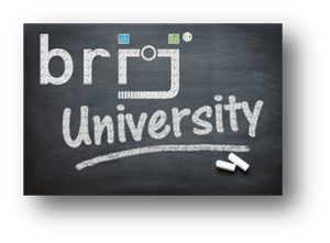 brij University Logo