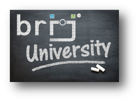brij University
