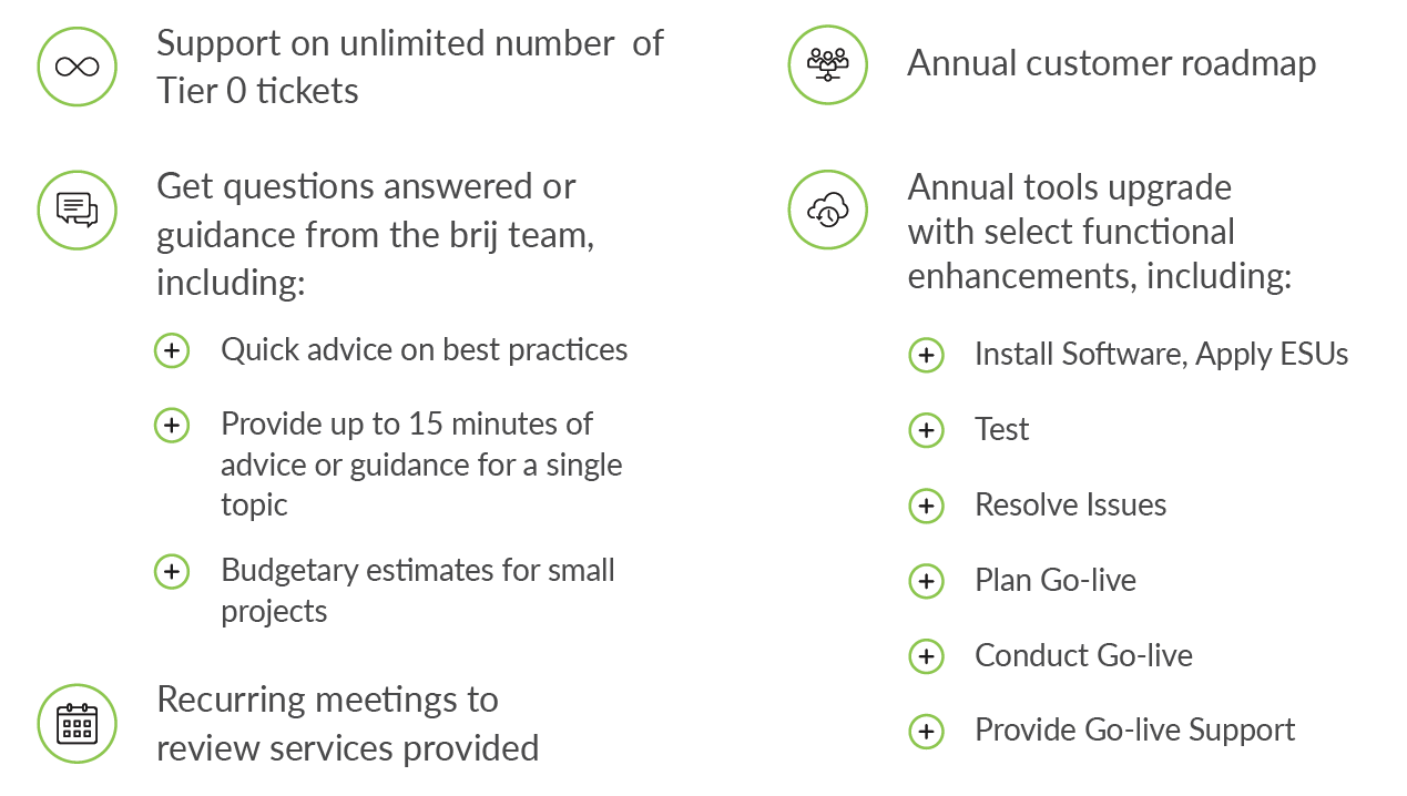 Types of brij Flex Support Services Offerings
